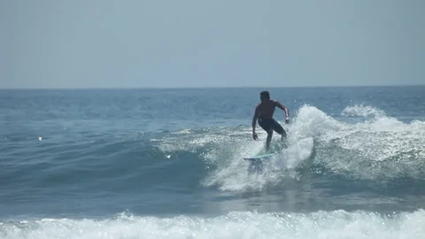 Surfer in Paradise Stock Footage 116529717