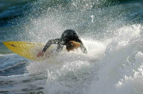  surfer Stock Photos
