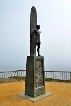 The surfer Foto stock