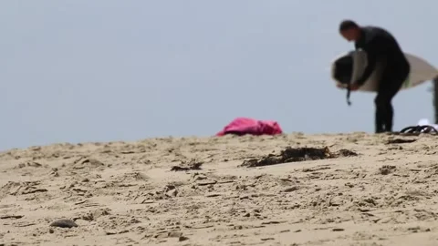 Surfer preparing board Stock Footage 166674672