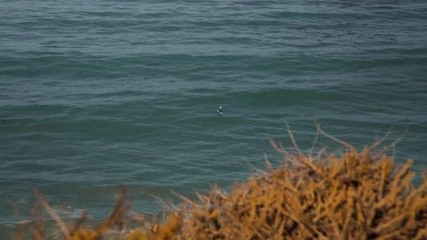 Surfer resting on waves next to cliffs 库存影片 102418397