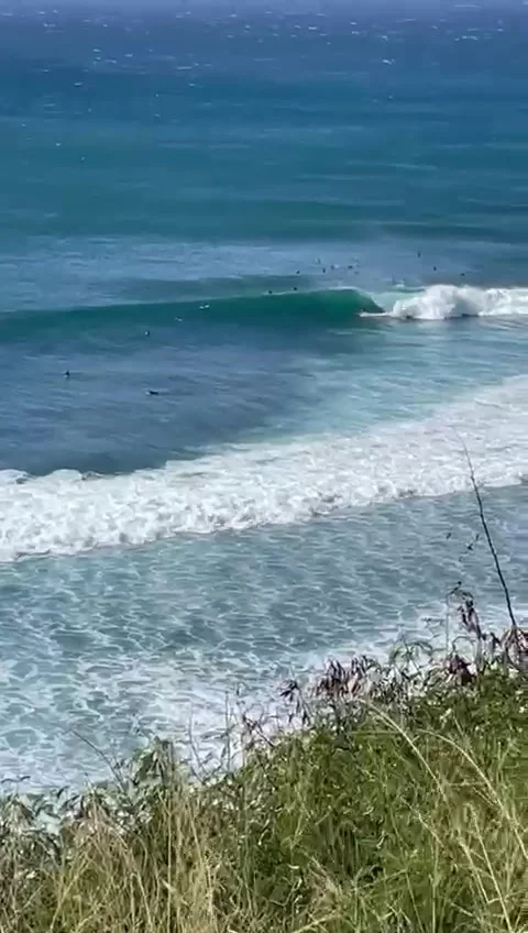 Surfer Rides Wave from Above Vertical SD Stock Footage 175304615