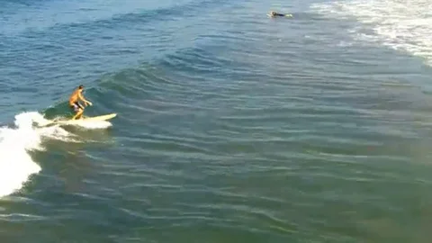 Surfer rides a wave Stock Footage 98579205