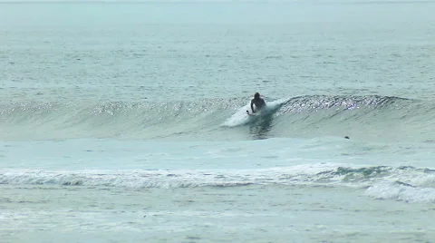 A surfer rides a wave in the surf at the ocean blue in the surf spot. Stock Footage 61205363