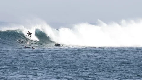 Surfer riding a big wave Video stock 71546798