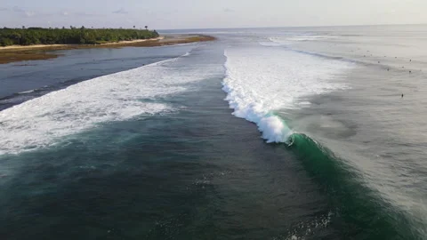 Surfer riding ocean wave, G-Land, Grajagan Bay, Plengkung Beach, Java, Stock Footage 242992783