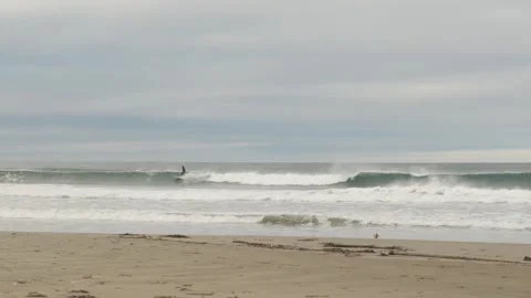 Surfer riding wave at overcast beach Stock Footage 345146555