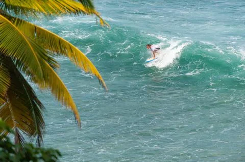 Surfer Riding a Wave With Palm Tree In Foreground, Unawatuna, Sri Lanka Stock Photos