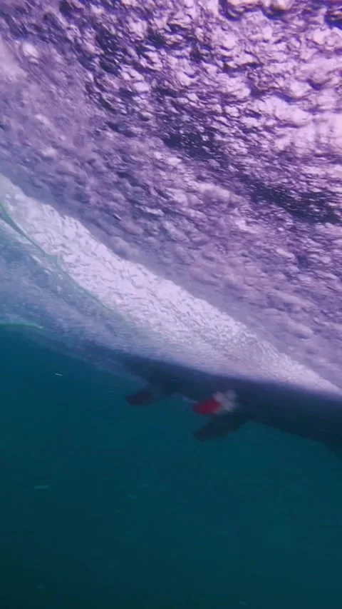 Surfer riding a wave in the sea Stock Footage 310958366