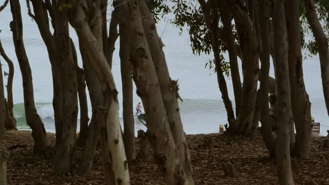 Surfer riding a wave through the foreground forest trees Vídeo Stock 118998525