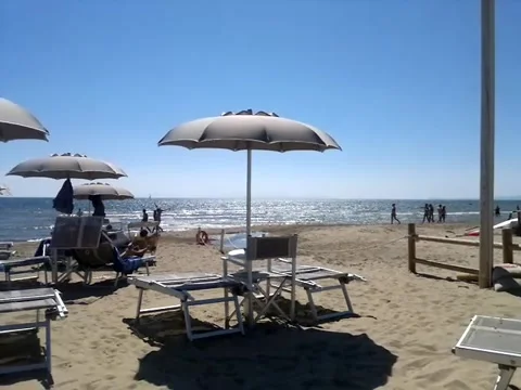 Surfer Running on Beach and Surfing in the Sea, Italy (August 1, 2014) 库存影片 344015000