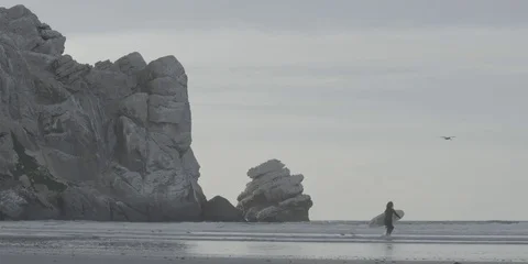 Surfer running into waves - Morro Rock Stock Footage 84250000