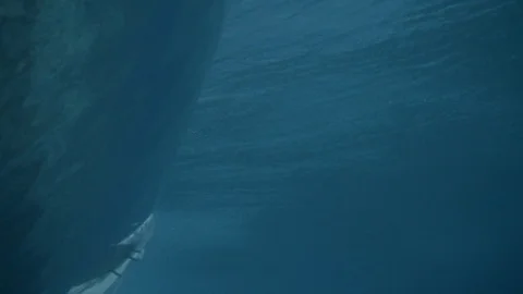 Surfer seen through the rolling sea wave Video stock 108644120