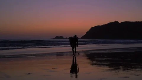 Surfer Silhouette Video stock 78073049