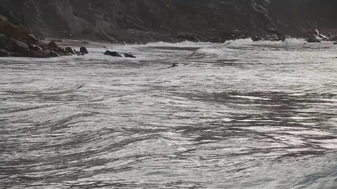 Surfer silhouette on the ocean wave 스톡 동영상 87654164