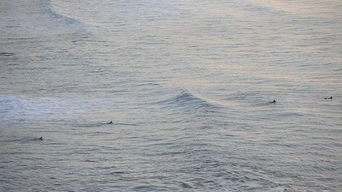 Surfer silhouette on the ocean wave 스톡 동영상 87656752