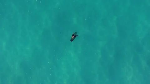Surfer Sitting On Surfboard And Floating In Calm Ocean - Aerial Top Down Stock Footage 266795272