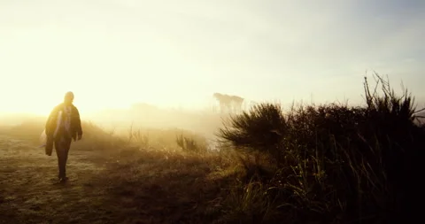 Surfer at Sunrise Video stock 262088339