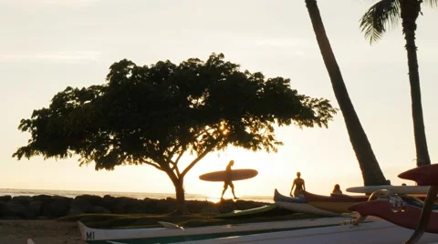 Surfer at sunset Stock Footage 47165535