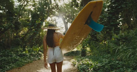 Surfer at Sunset Stock Footage 167439939