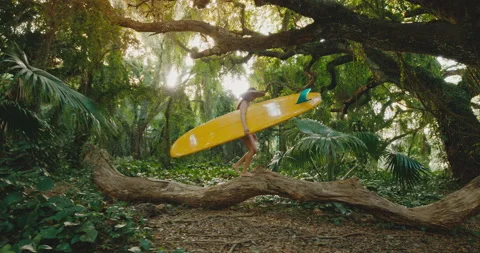 Surfer at Sunset Stock Footage 167440965