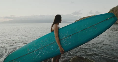 Surfer at Sunset Stock Footage 167442206
