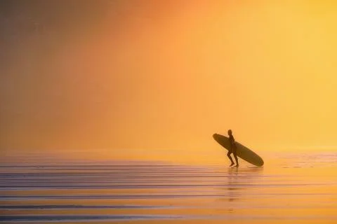 Surfer at the sunset Stock Photos
