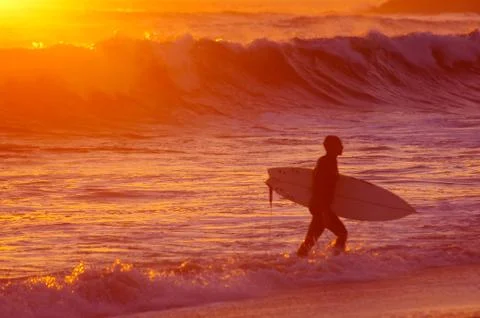 Surfer at Sunset Stock Photos
