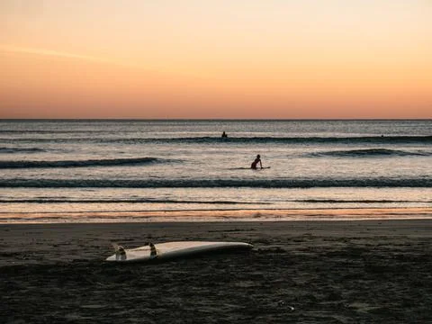 Surfer at the sunset Stock Photos