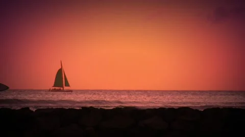 Surfer with surfboard walking on beach during sunset Stock Footage 55571158