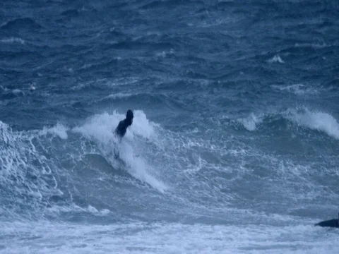 Surfer surfing a big wave in slow motion 库存影片 73274683