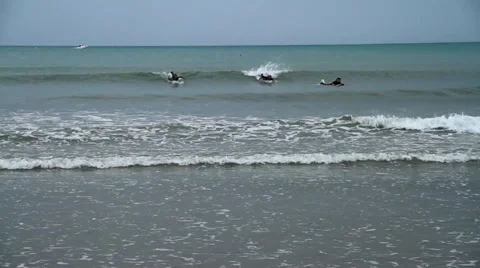 Surfer surfing Vidéo 35614720