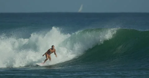 Surfer surfing ocean wave in Honolulu Hawaii in June 8th 2024 Stock Footage 277616831