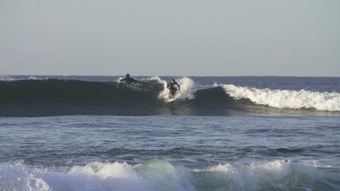 Surfer surfing on ocean waves Stock Footage 85815010