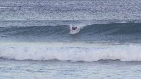 Surfer surfing on ocean waves in slow motion Stock Footage 85820205