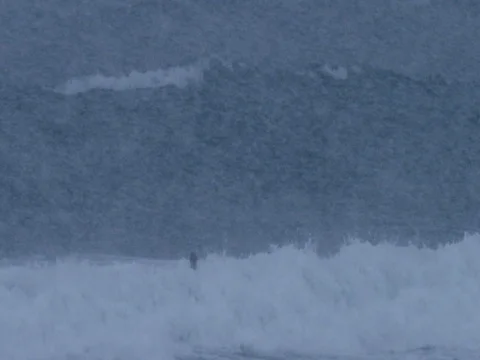 Surfer surfing a wave during snowfall 库存影片 73274534
