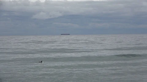 Surfer surfing a wave Stock Footage 121972605
