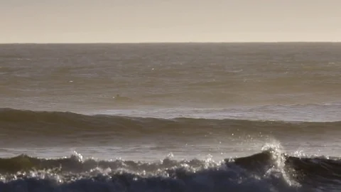 Surfer surfs in rough and windy ocean waves. Vidéo 74503834