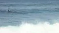 A surfer swimming and floating in the waves HD Footage