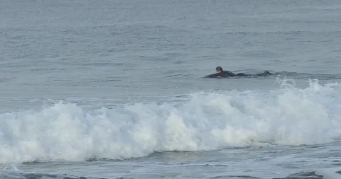 Surfer Swimming Stock Footage 101672962