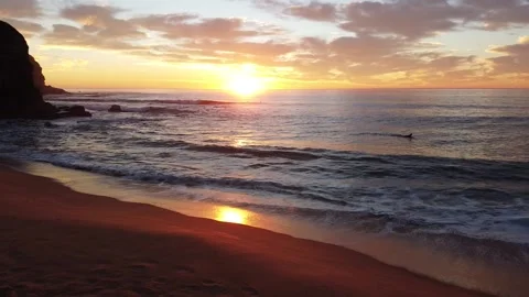 Surfer swimming at sunrise Stock Footage
