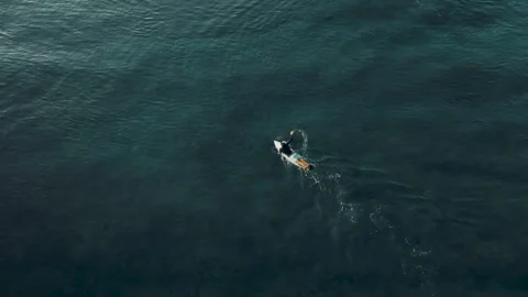 Surfer swims towards the wave Stockbeeldmateriaal 269551542