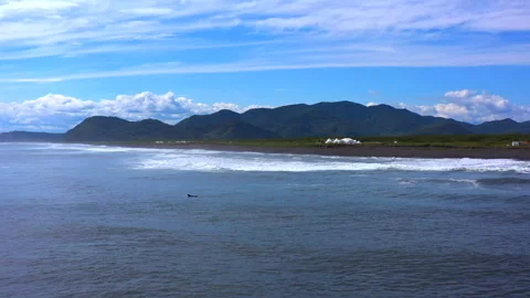 Surfer swims on the waves of the Pacific Ocean lying on a surfboard Stock-Footage 142695714