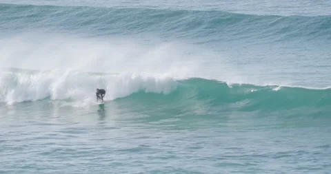 Surfer trying to catch a wave Stock Footage 197738079