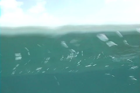 Surfer Underwater Stock Footage 311756