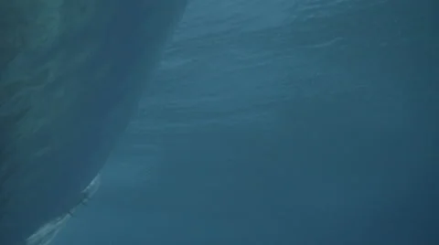 SURFER FROM UNDERWATER Stock Footage 68069370