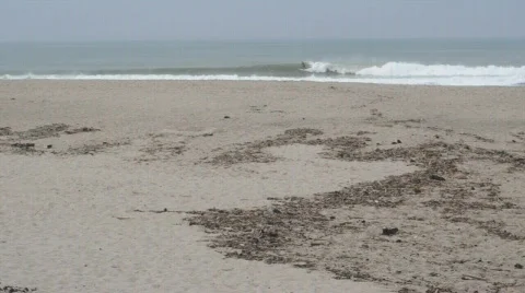 Surfer ventura Stock Footage 630687