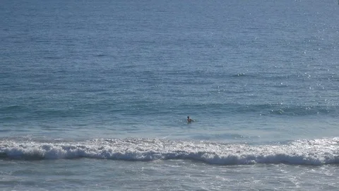 Surfer waiting to catch a wave in the ocean Stock Footage 93898761