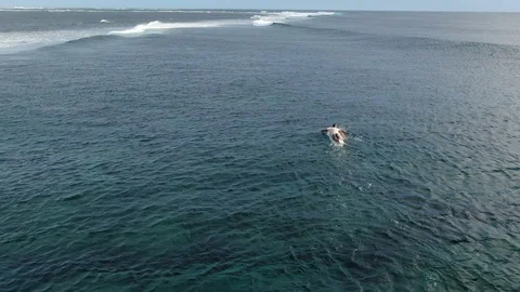 A surfer waiting for the right wave Stock Footage 120426561
