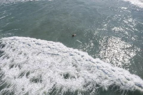 Surfer waiting for the wave Stock Photos